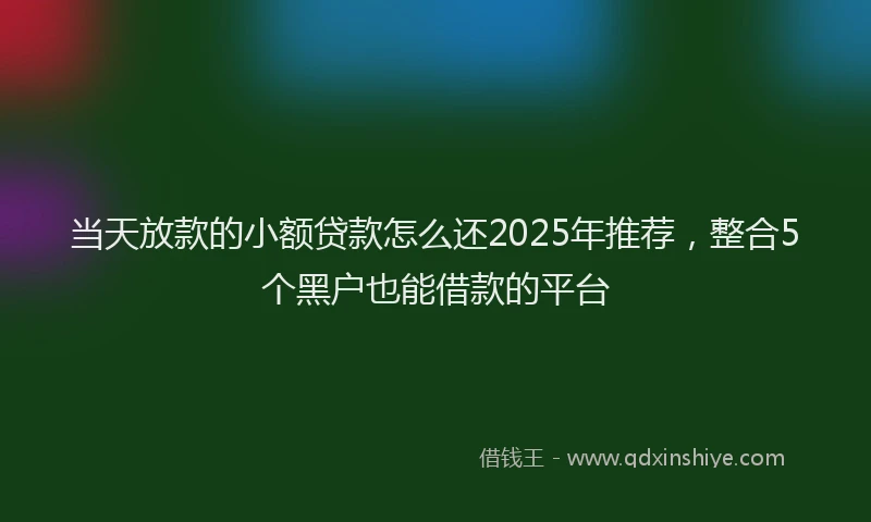 当天放款的小额贷款怎么还2025年推荐，整合5个黑户也能借款的平台