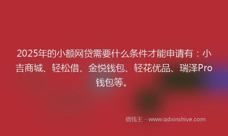 2025年的小额网贷需要什么条件才能申请有：小吉商城、轻松借、金悦钱包、轻花优品、瑞泽Pro钱包等。