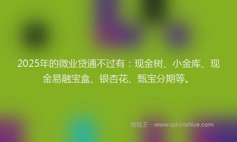 2025年的微业贷通不过有：现金树、小金库、现金易融宝盒、银杏花、甄宝分期等。