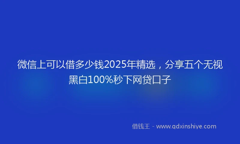 微信上可以借多少钱2025年精选，分享五个无视黑白100%秒下网贷口子