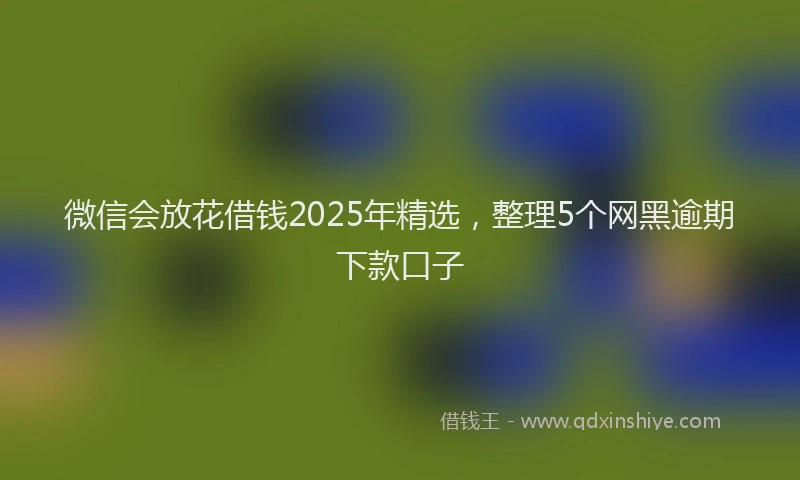 微信会放花借钱2025年精选，整理5个网黑逾期下款口子