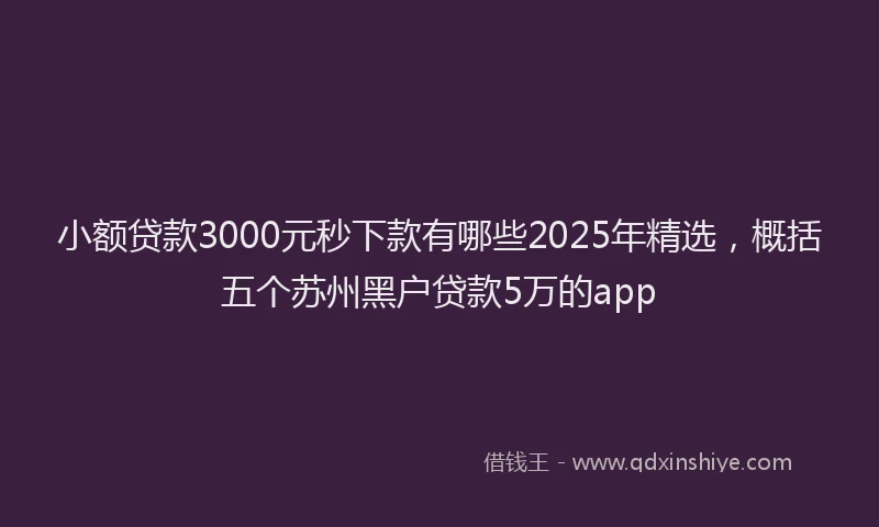 小额贷款3000元秒下款有哪些2025年精选，概括五个苏州黑户贷款5万的app