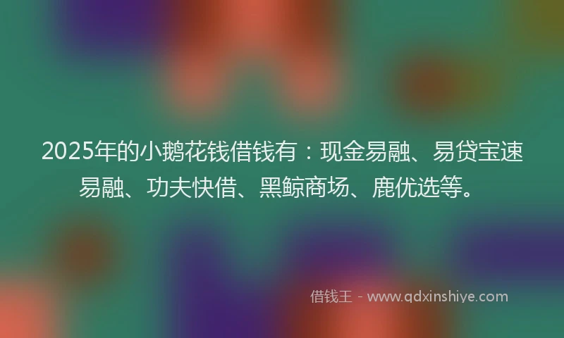 2025年的小鹅花钱借钱有：现金易融、易贷宝速易融、功夫快借、黑鲸商场、鹿优选等。