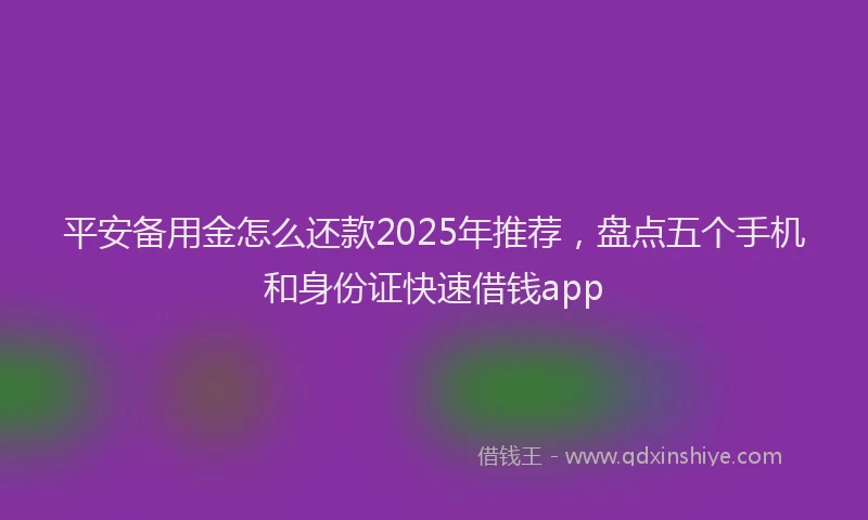 平安备用金怎么还款2025年推荐，盘点五个手机和身份证快速借钱app