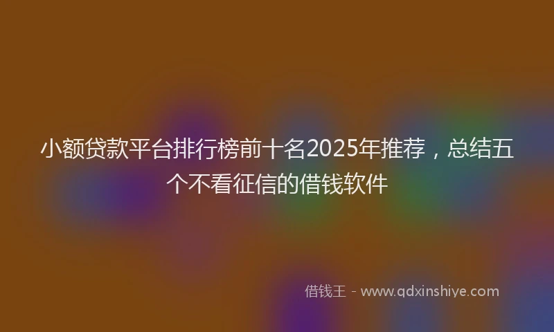 小额贷款平台排行榜前十名2025年推荐，总结五个不看征信的借钱软件