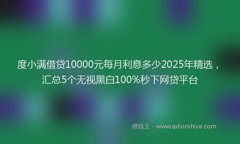 度小满借贷10000元每月利息多少2025年精选，汇总5个无视黑白100%秒下网贷平台