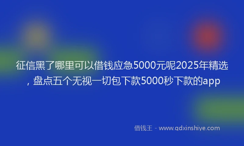 征信黑了哪里可以借钱应急5000元呢2025年精选，盘点五个无视一切包下款5000秒下款的app