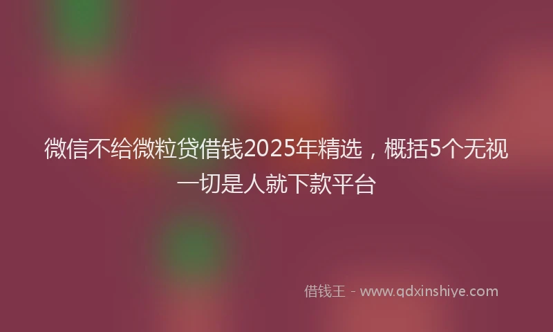 微信不给微粒贷借钱2025年精选，概括5个无视一切是人就下款平台
