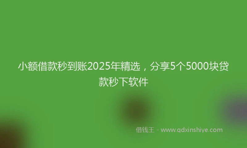 小额借款秒到账2025年精选，分享5个5000块贷款秒下软件