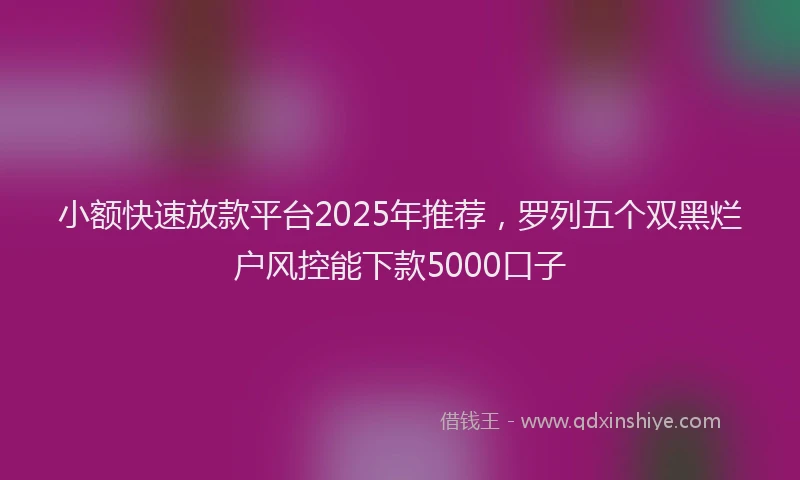 小额快速放款平台2025年推荐，罗列五个双黑烂户风控能下款5000口子