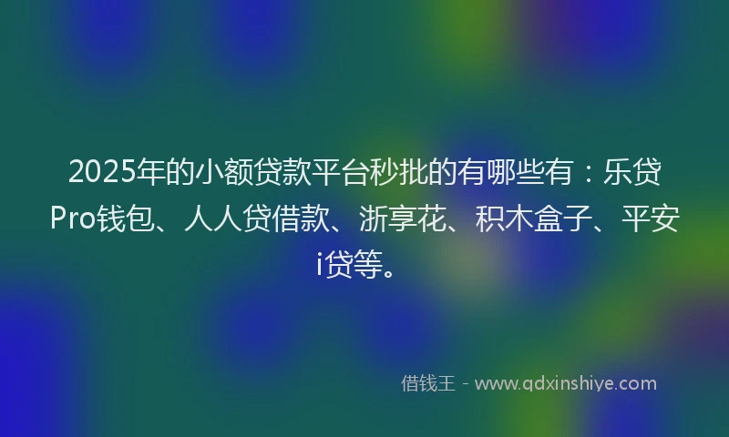 2025年的小额贷款平台秒批的有哪些有：乐贷Pro钱包、人人贷借款、浙享花、积木盒子、平安i贷等。