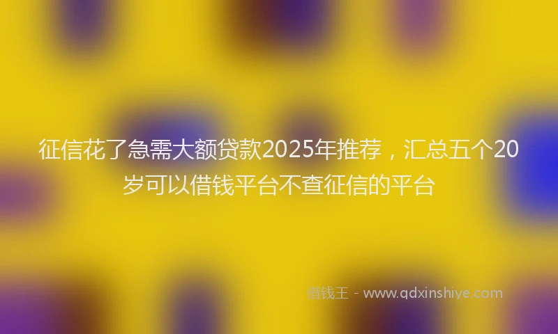 征信花了急需大额贷款2025年推荐，汇总五个20岁可以借钱平台不查征信的平台