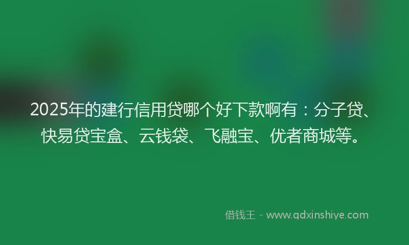 2025年的建行信用贷哪个好下款啊有：分子贷、快易贷宝盒、云钱袋、飞融宝、优者商城等。