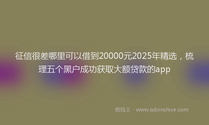 征信很差哪里可以借到20000元2025年精选，梳理五个黑户成功获取大额贷款的app