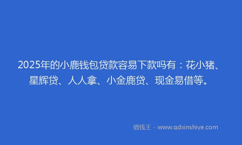 2025年的小鹿钱包贷款容易下款吗有：花小猪、星辉贷、人人拿、小金鹿贷、现金易借等。
