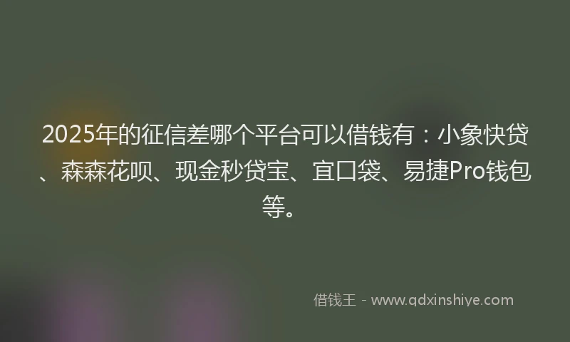 2025年的征信差哪个平台可以借钱有：小象快贷、森森花呗、现金秒贷宝、宜口袋、易捷Pro钱包等。
