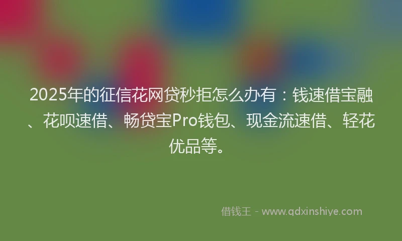 2025年的征信花网贷秒拒怎么办有：钱速借宝融、花呗速借、畅贷宝Pro钱包、现金流速借、轻花优品等。
