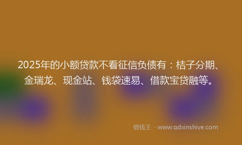 2025年的小额贷款不看征信负债有：桔子分期、金瑞龙、现金站、钱袋速易、借款宝贷融等。