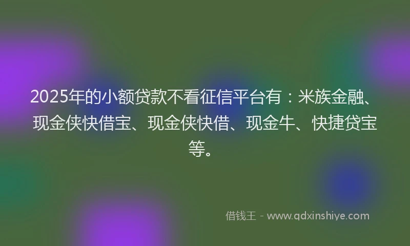 2025年的小额贷款不看征信平台有：米族金融、现金侠快借宝、现金侠快借、现金牛、快捷贷宝等。