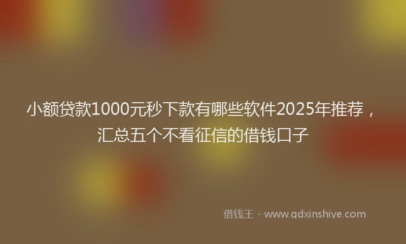 小额贷款1000元秒下款有哪些软件2025年推荐，汇总五个不看征信的借钱口子