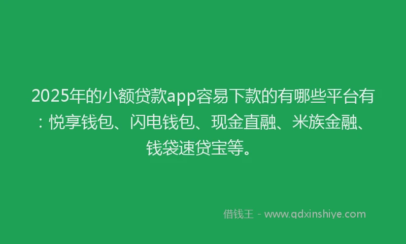2025年的小额贷款app容易下款的有哪些平台有：悦享钱包、闪电钱包、现金直融、米族金融、钱袋速贷宝等。