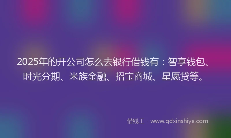 2025年的开公司怎么去银行借钱有：智享钱包、时光分期、米族金融、招宝商城、星愿贷等。