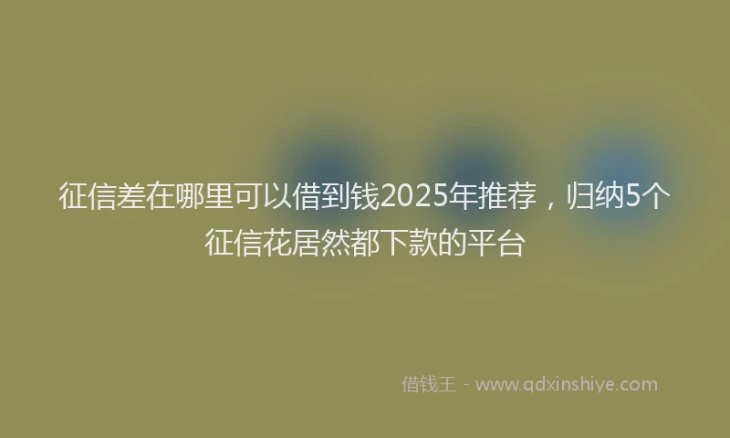 征信差在哪里可以借到钱2025年推荐，归纳5个征信花居然都下款的平台