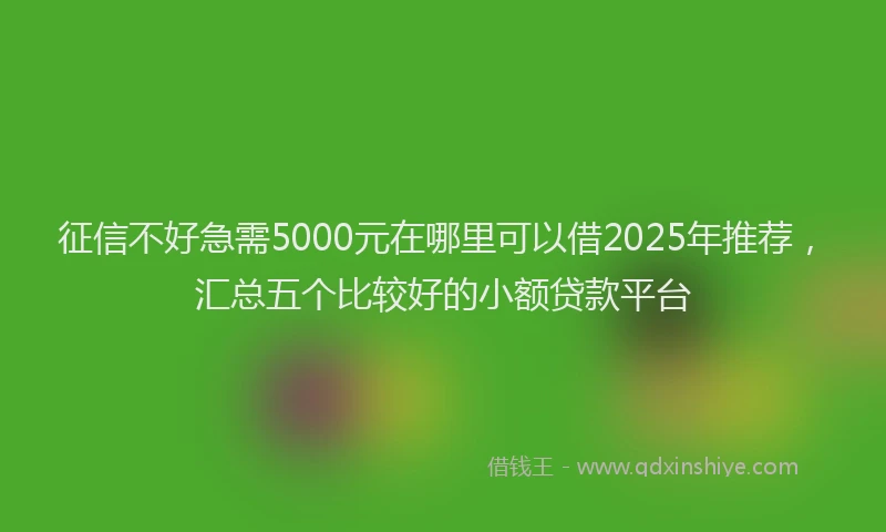 征信不好急需5000元在哪里可以借2025年推荐，汇总五个比较好的小额贷款平台