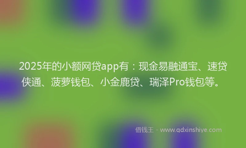 2025年的小额网贷app有：现金易融通宝、速贷侠通、菠萝钱包、小金鹿贷、瑞泽Pro钱包等。