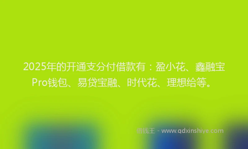 2025年的开通支分付借款有：盈小花、鑫融宝Pro钱包、易贷宝融、时代花、理想给等。
