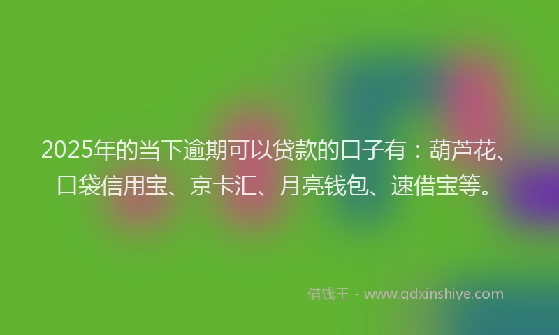2025年的当下逾期可以贷款的口子有：葫芦花、口袋信用宝、京卡汇、月亮钱包、速借宝等。
