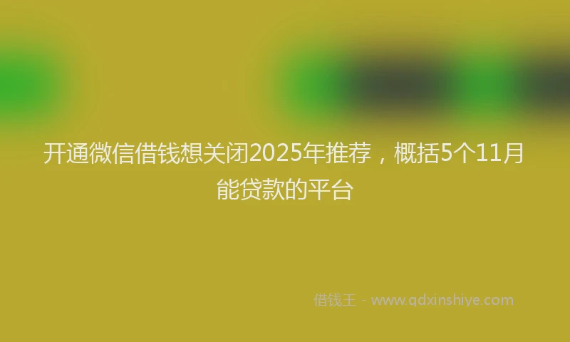 开通微信借钱想关闭2025年推荐，概括5个11月能贷款的平台