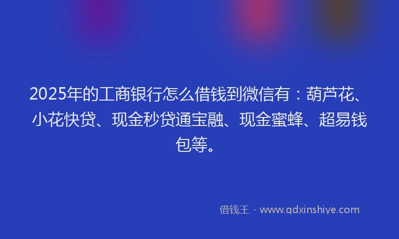 2025年的工商银行怎么借钱到微信有：葫芦花、小花快贷、现金秒贷通宝融、现金蜜蜂、超易钱包等。