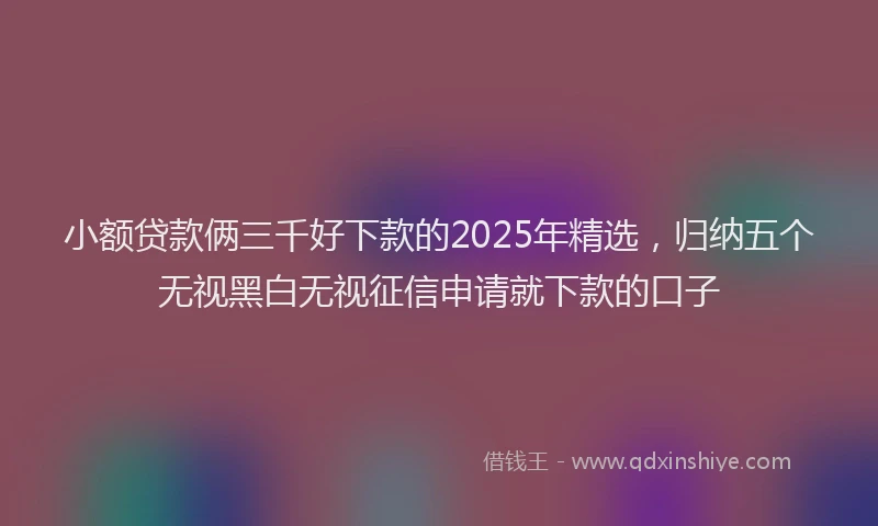 小额贷款俩三千好下款的2025年精选，归纳五个无视黑白无视征信申请就下款的口子