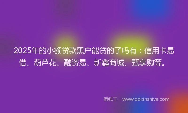 2025年的小额贷款黑户能贷的了吗有：信用卡易借、葫芦花、融资易、新鑫商城、甄享购等。