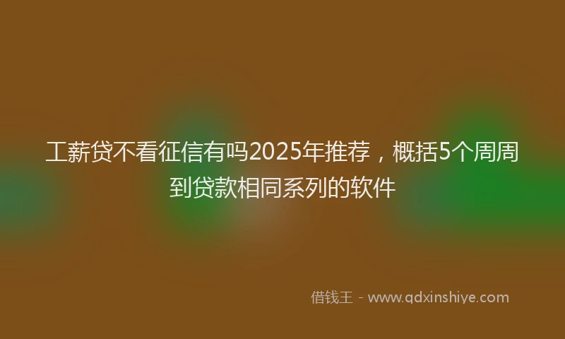 工薪贷不看征信有吗2025年推荐，概括5个周周到贷款相同系列的软件