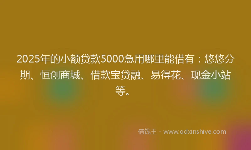 2025年的小额贷款5000急用哪里能借有：悠悠分期、恒创商城、借款宝贷融、易得花、现金小站等。