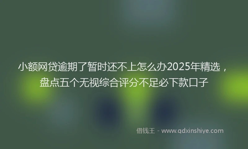 小额网贷逾期了暂时还不上怎么办2025年精选，盘点五个无视综合评分不足必下款口子