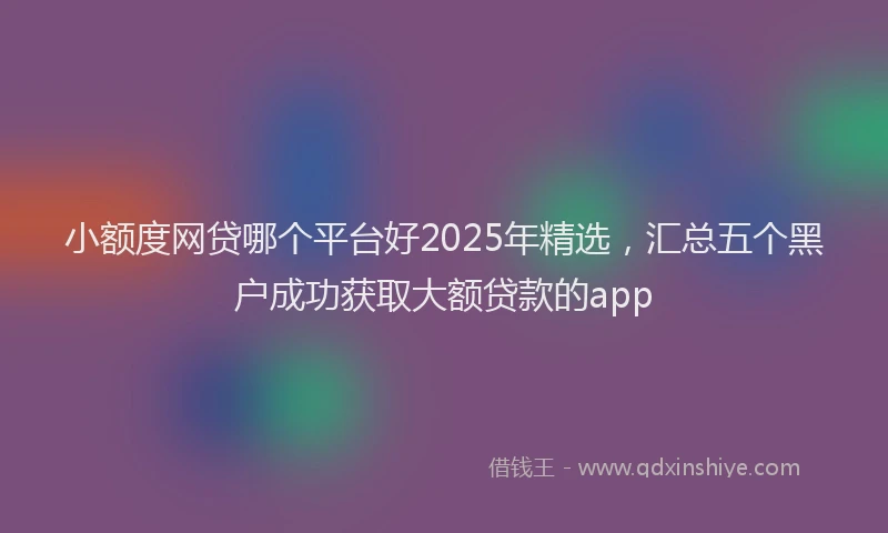 小额度网贷哪个平台好2025年精选，汇总五个黑户成功获取大额贷款的app