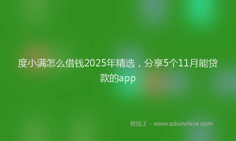 度小满怎么借钱2025年精选，分享5个11月能贷款的app