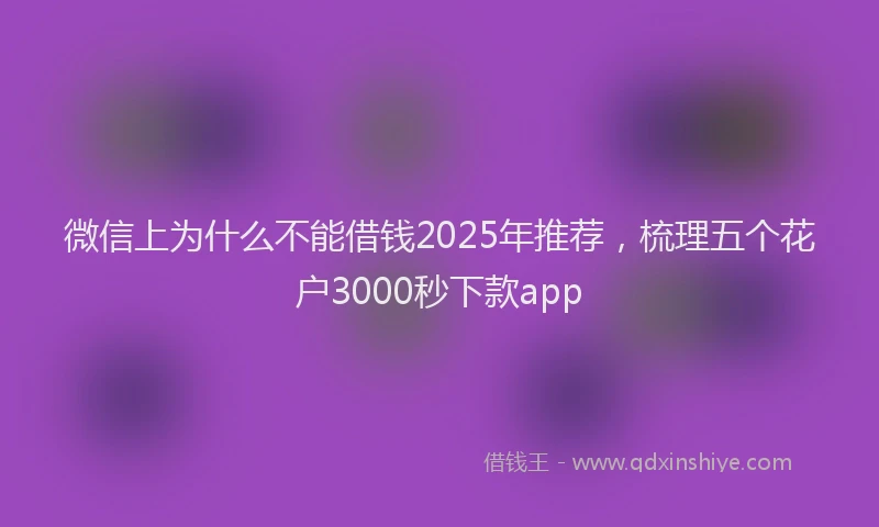 微信上为什么不能借钱2025年推荐，梳理五个花户3000秒下款app