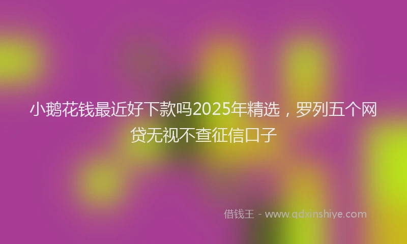 小鹅花钱最近好下款吗2025年精选，罗列五个网贷无视不查征信口子