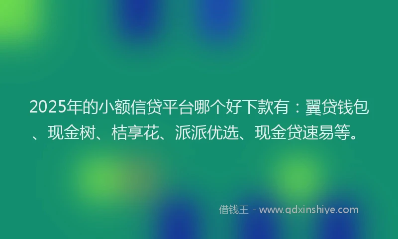 2025年的小额信贷平台哪个好下款有：翼贷钱包、现金树、桔享花、派派优选、现金贷速易等。