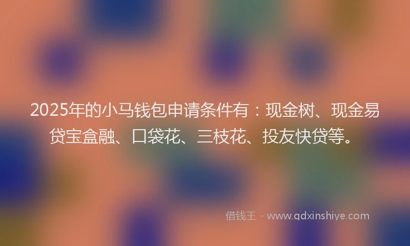 2025年的小马钱包申请条件有：现金树、现金易贷宝盒融、口袋花、三枝花、投友快贷等。