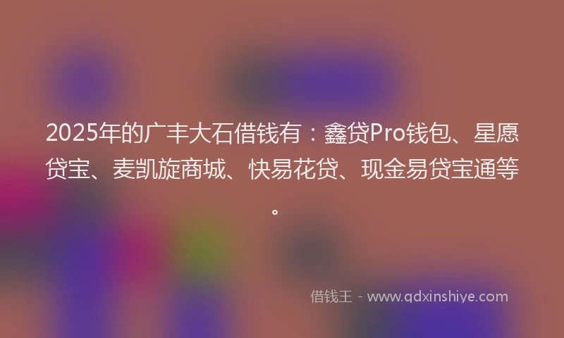2025年的广丰大石借钱有：鑫贷Pro钱包、星愿贷宝、麦凯旋商城、快易花贷、现金易贷宝通等。