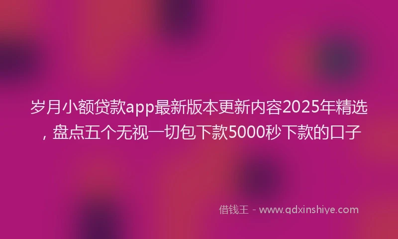 岁月小额贷款app最新版本更新内容2025年精选，盘点五个无视一切包下款5000秒下款的口子