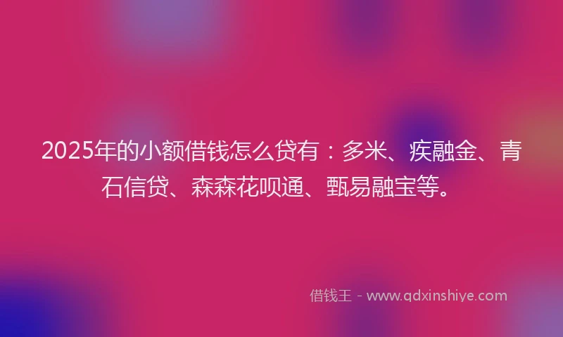 2025年的小额借钱怎么贷有：多米、疾融金、青石信贷、森森花呗通、甄易融宝等。