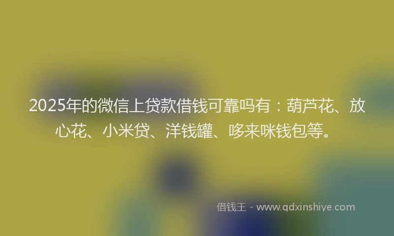2025年的微信上贷款借钱可靠吗有：葫芦花、放心花、小米贷、洋钱罐、哆来咪钱包等。