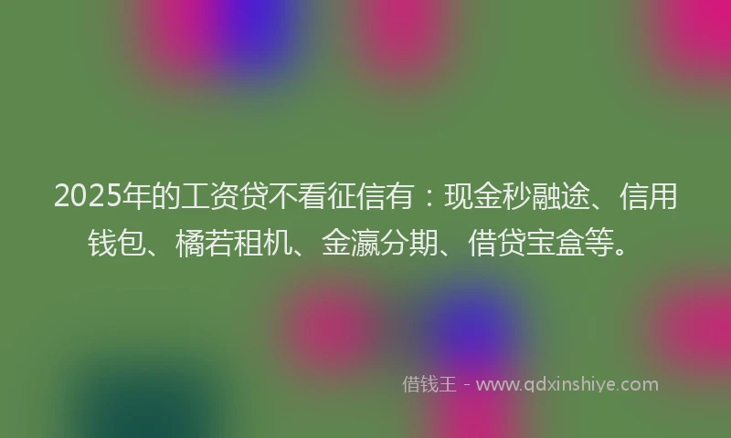 2025年的工资贷不看征信有：现金秒融途、信用钱包、橘若租机、金瀛分期、借贷宝盒等。