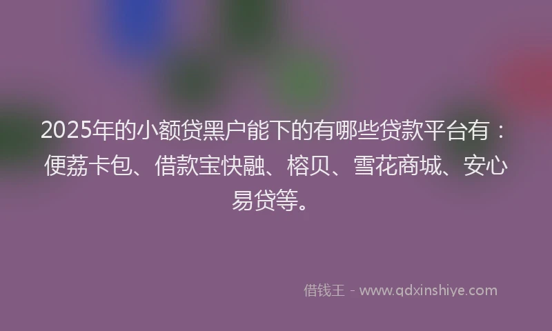 2025年的小额贷黑户能下的有哪些贷款平台有：便荔卡包、借款宝快融、榕贝、雪花商城、安心易贷等。